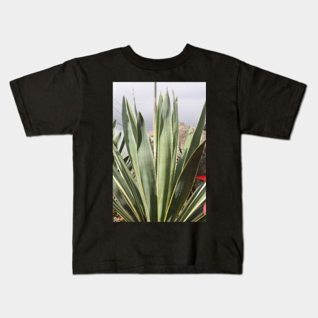 Mexican Plant Kids T-Shirt by ScrambledPsychology